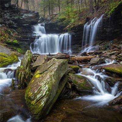 澳门一码一肖一特一中